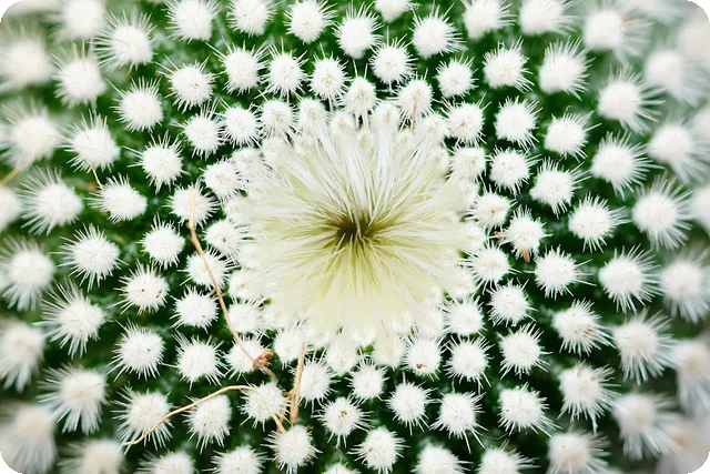 신용카드비교사이트 추천으로 혜택 챙기기