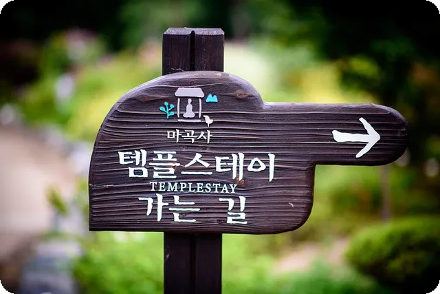 토스카드 재발급 방법은 무엇인가요