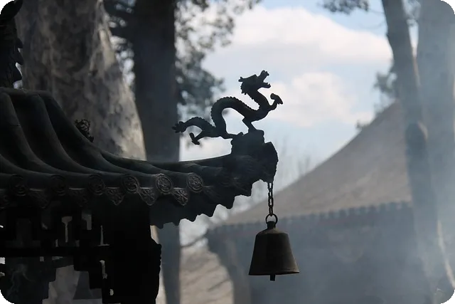 네이버페이카드로 오사카 여행 최적 결제 방법은?