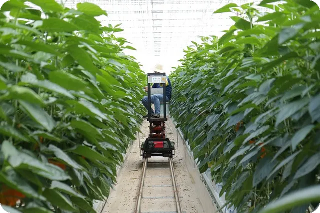 마이너스통장 금리 비교와 주의사항은?