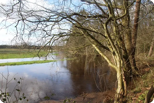 적금추천 SC제일은행 두드림적금의 모든 것