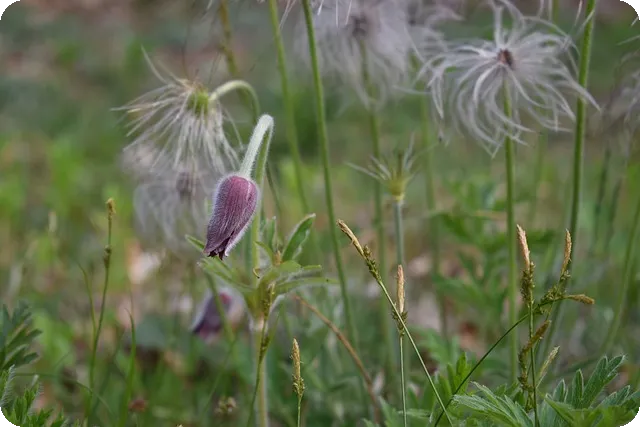 카드캐시백 혜택으로 절약하는 법은?