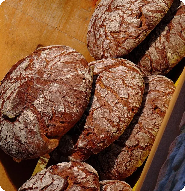 생활비카드추천 안산 다온카드 인센티브혜택은?