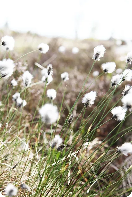 신용카드캐시백 하이마트 분할결제, 가능할까