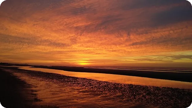 카드할인으로 즐기는 아웃백 주말 런치와 생일 서비스