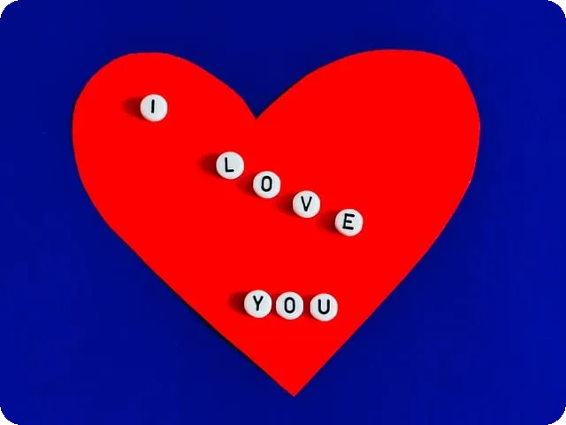 카드순위와 브랜드별 강점 분석