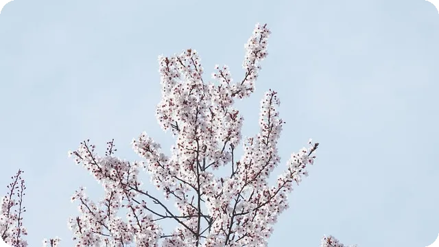 할인카드 종류 알아보기 이마트에서 어떤 혜택이 필요할까요