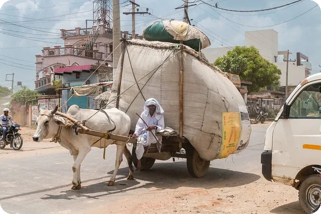 아모레 신한 카드 첫 결제 혜택 알아보기
