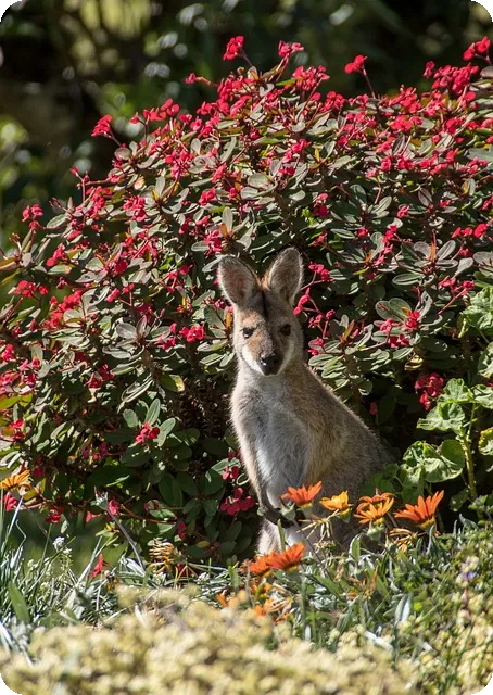 아모레 신한 카드 첫 결제 혜택 알아보기