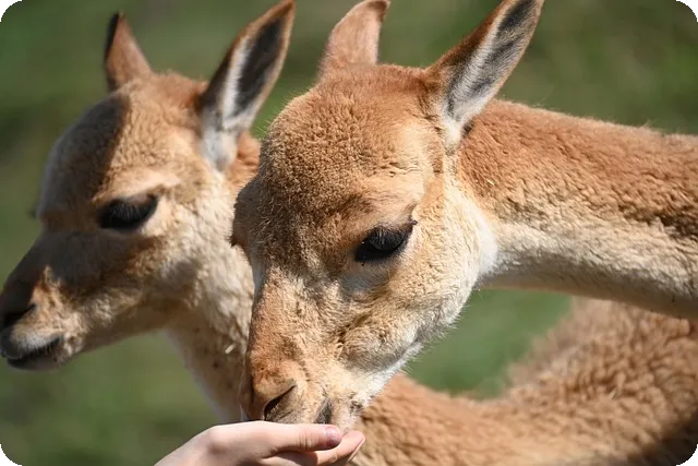 모바일상품권 매입 쉽게 하는 법은