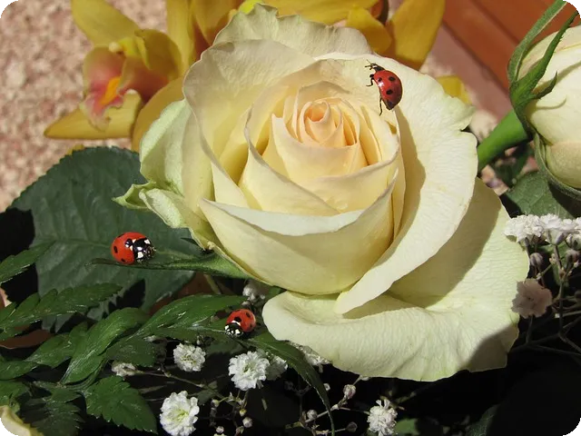 신한카드 포인트를 현금으로 바꾸는 법