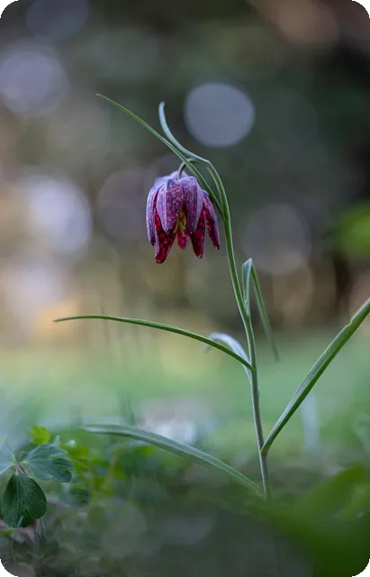 신한카드 포인트를 현금으로 바꾸는 법