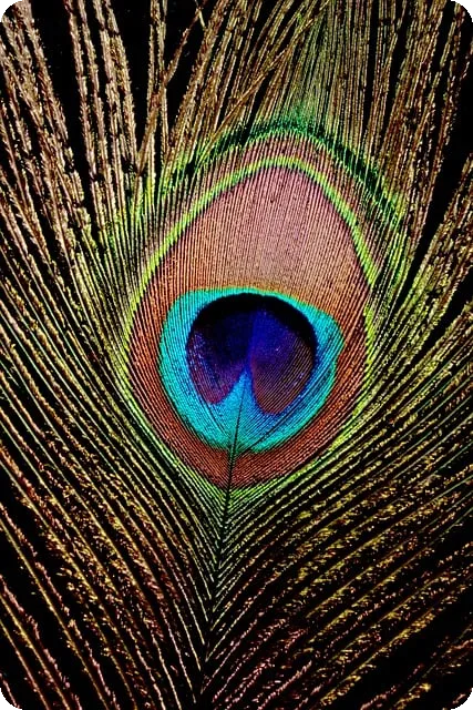 40대신용카드추천 2025년 최고의 카드 선택은?