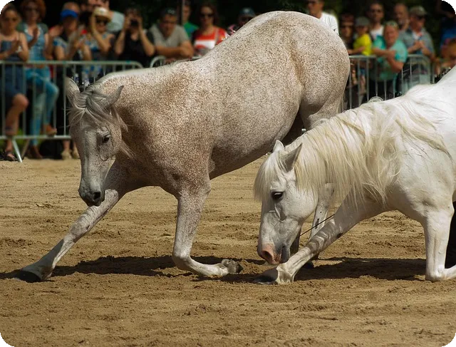 신용카드재발급 방법과 전략은?