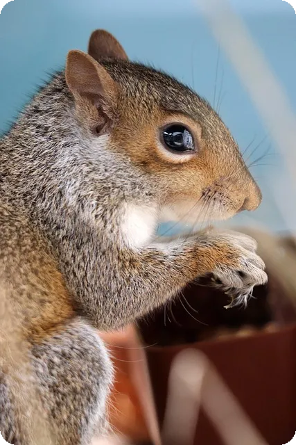 틴캐시현금화 2025년 9월 시세 정리와 팁