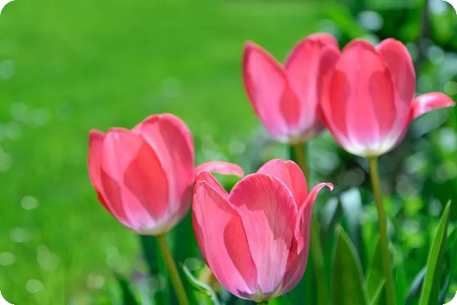 청구할인과 환급할인 차이점은?