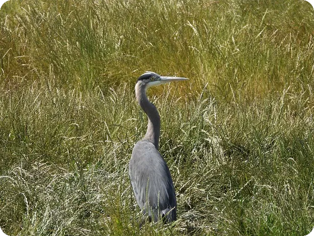 모빌리언스카드로 현금 빠르게 마련하는 방법은
