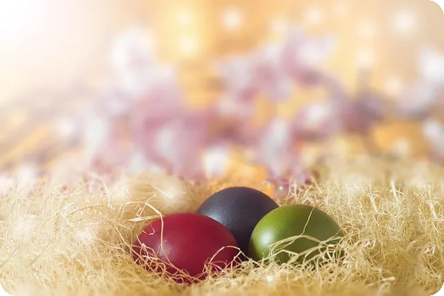 피킹률높은카드 찾아볼까요?