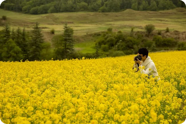 대학생신용카드추천 가장 효율적인 카드 선택 방법은?