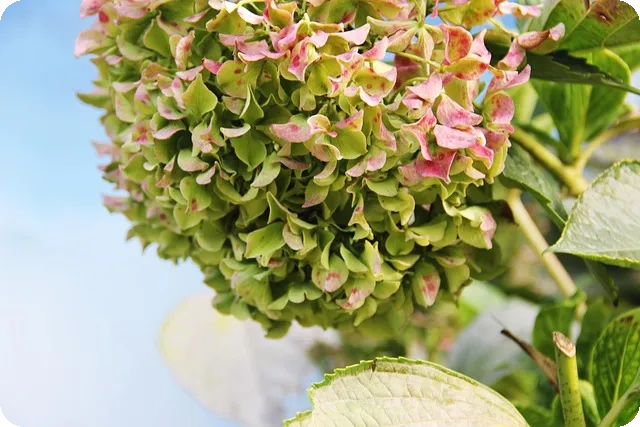 신용카드만드는법 대학생도 가능할까