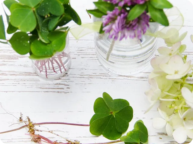 신용카드만드는법 대학생 필수 가이드