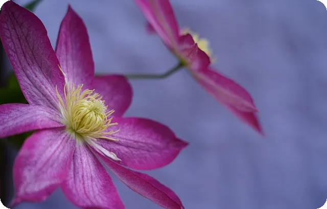 신용카드만드는법 쉽게 배워볼까