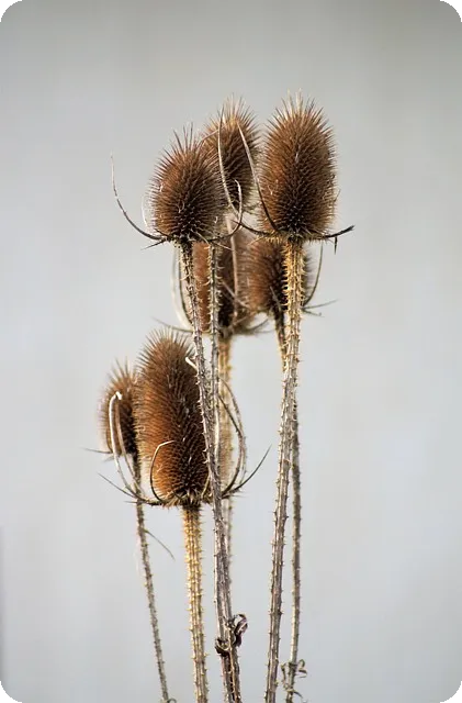 신용카드만드는법 초등학생도 가능할까